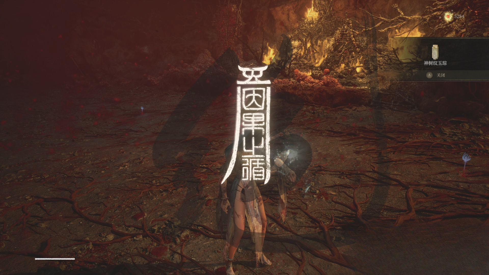 guide image