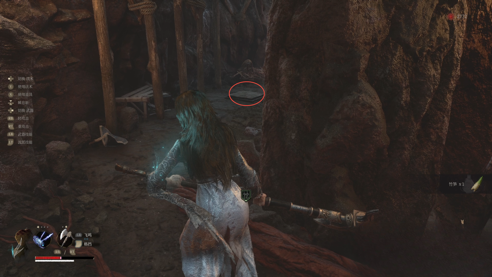 guide image