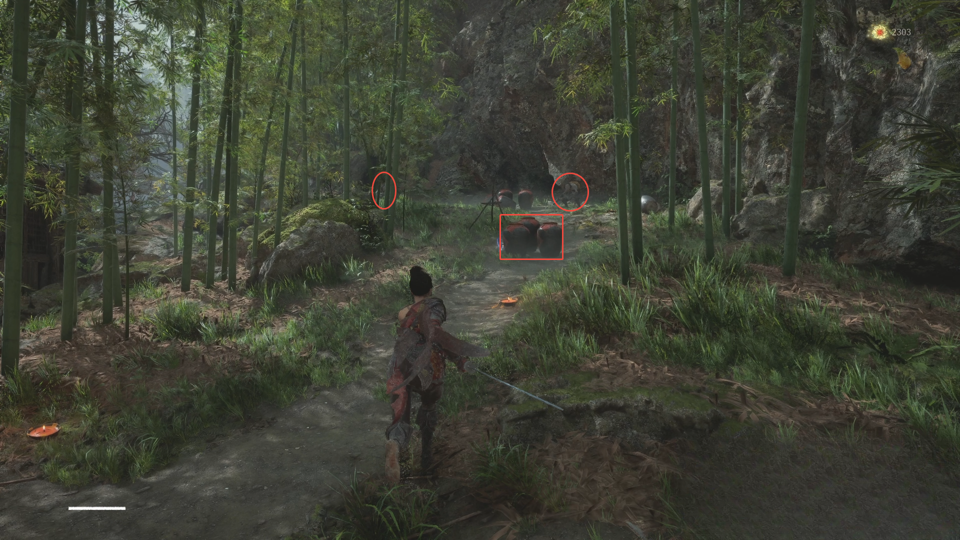 guide image