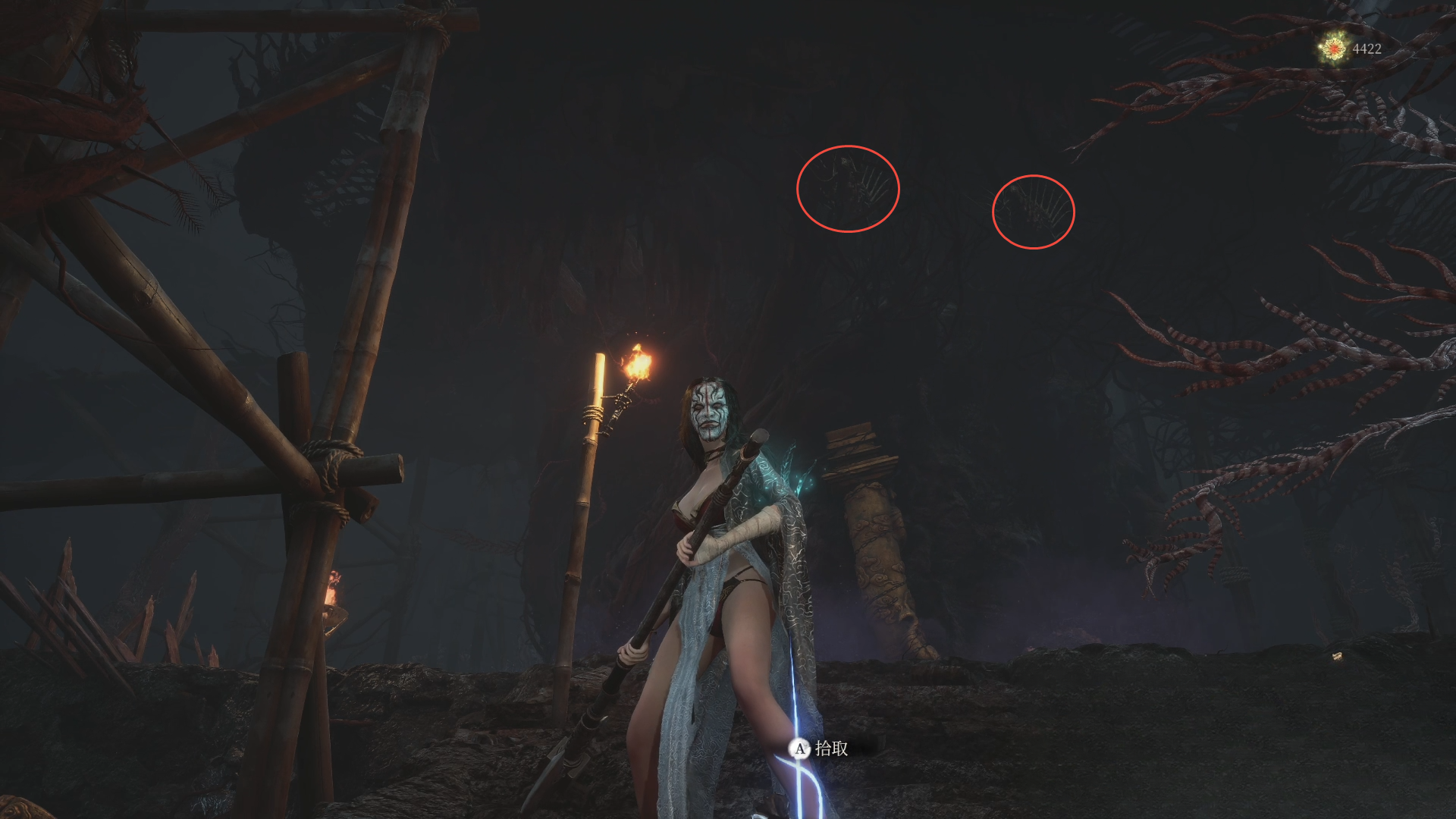 guide image