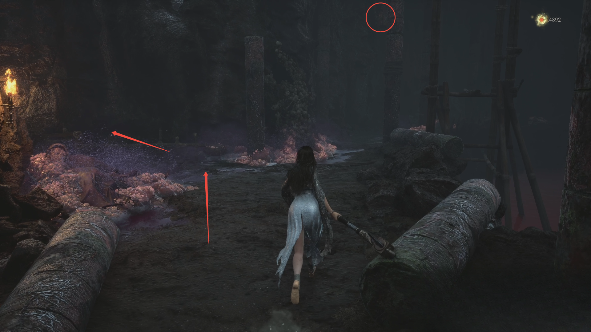 guide image