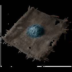 guide image