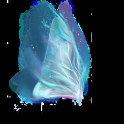 guide image