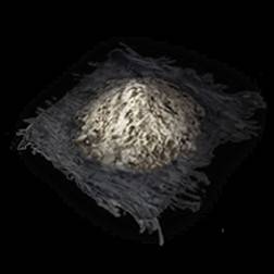 guide image