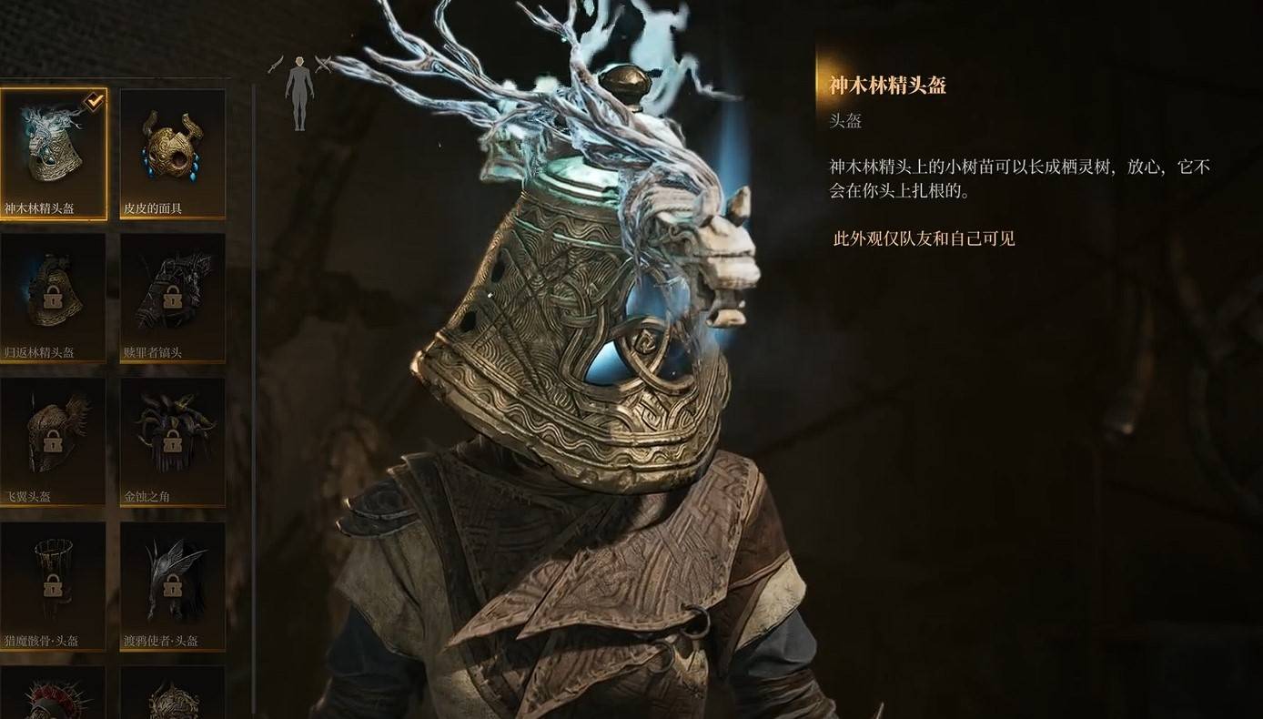 guide image
