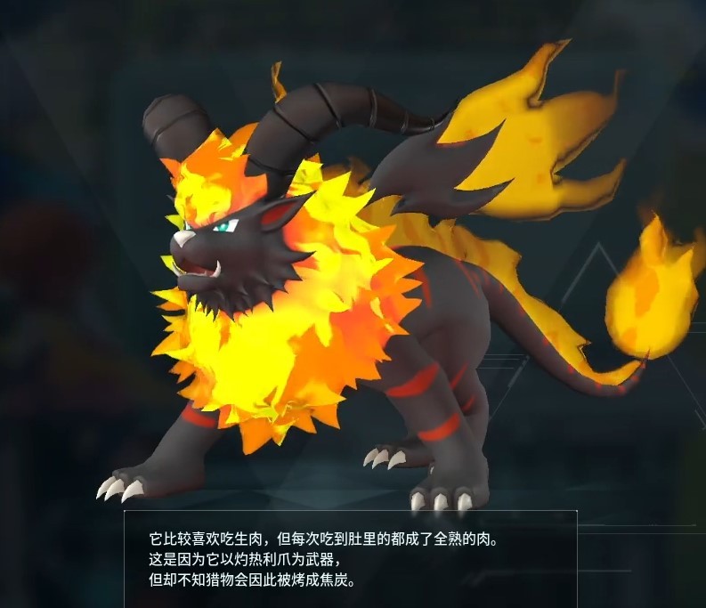 guide image