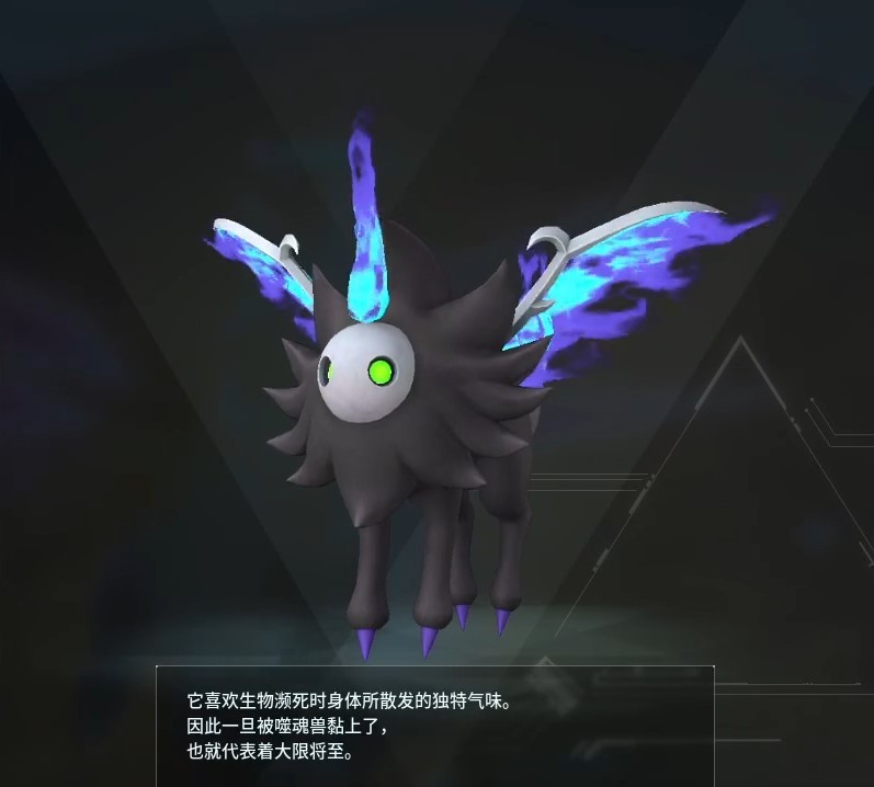 guide image