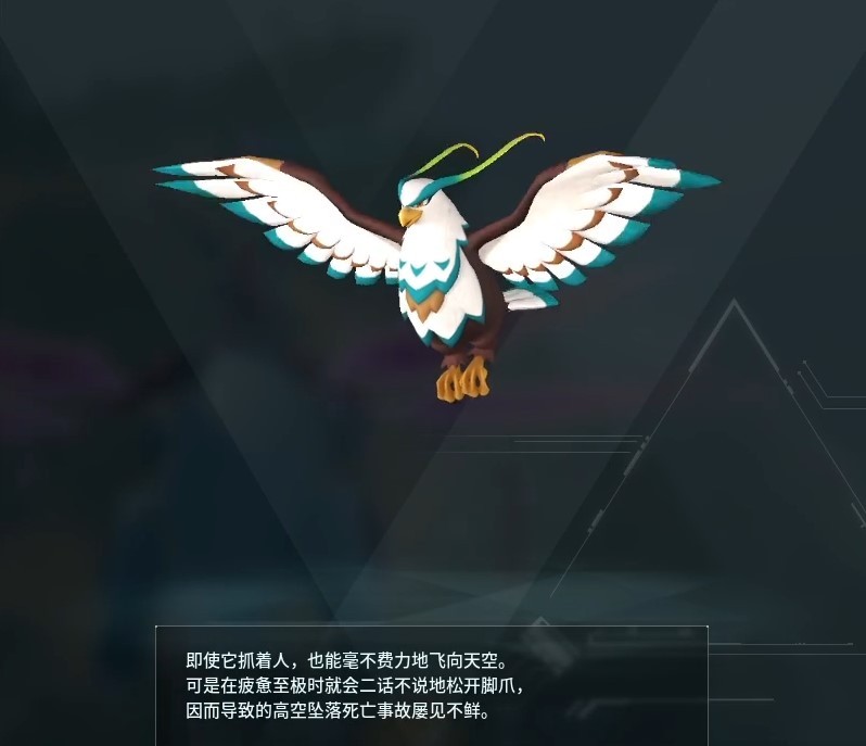 guide image