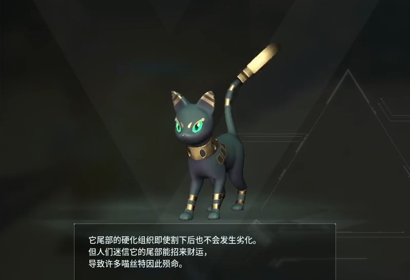 guide image