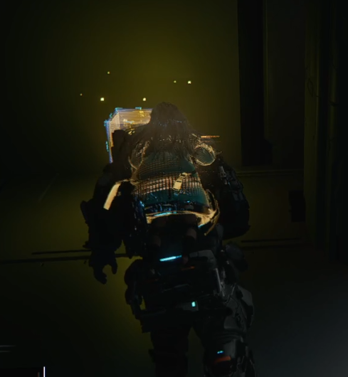 guide image
