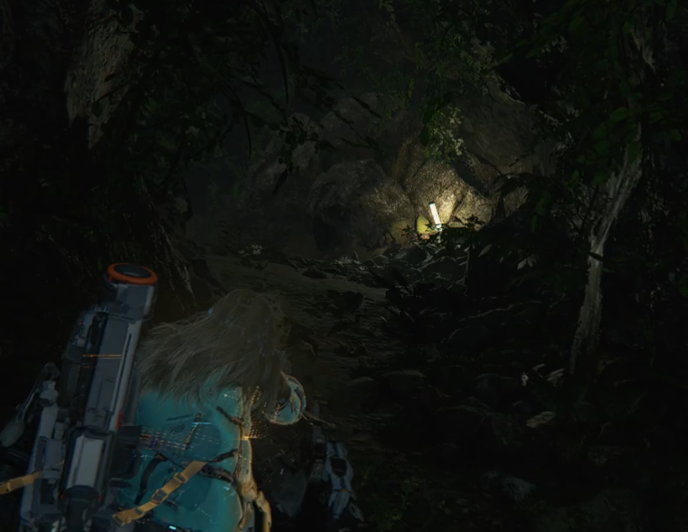 guide image
