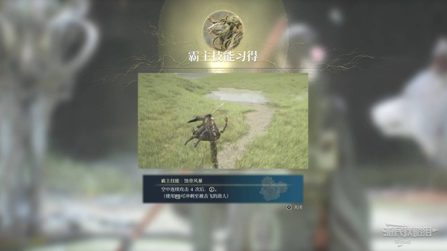 guide image