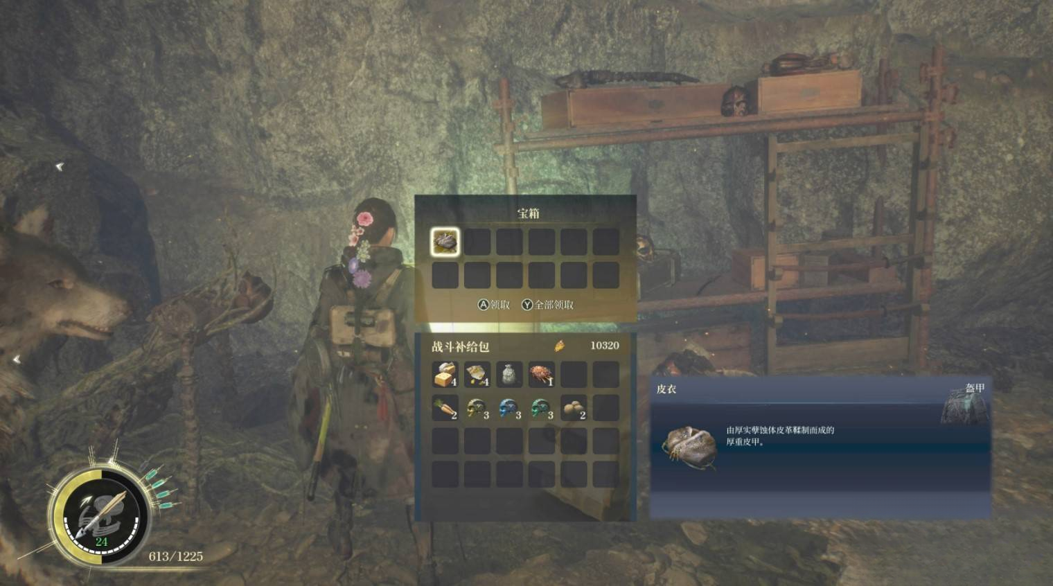 guide image