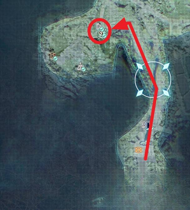 guide image
