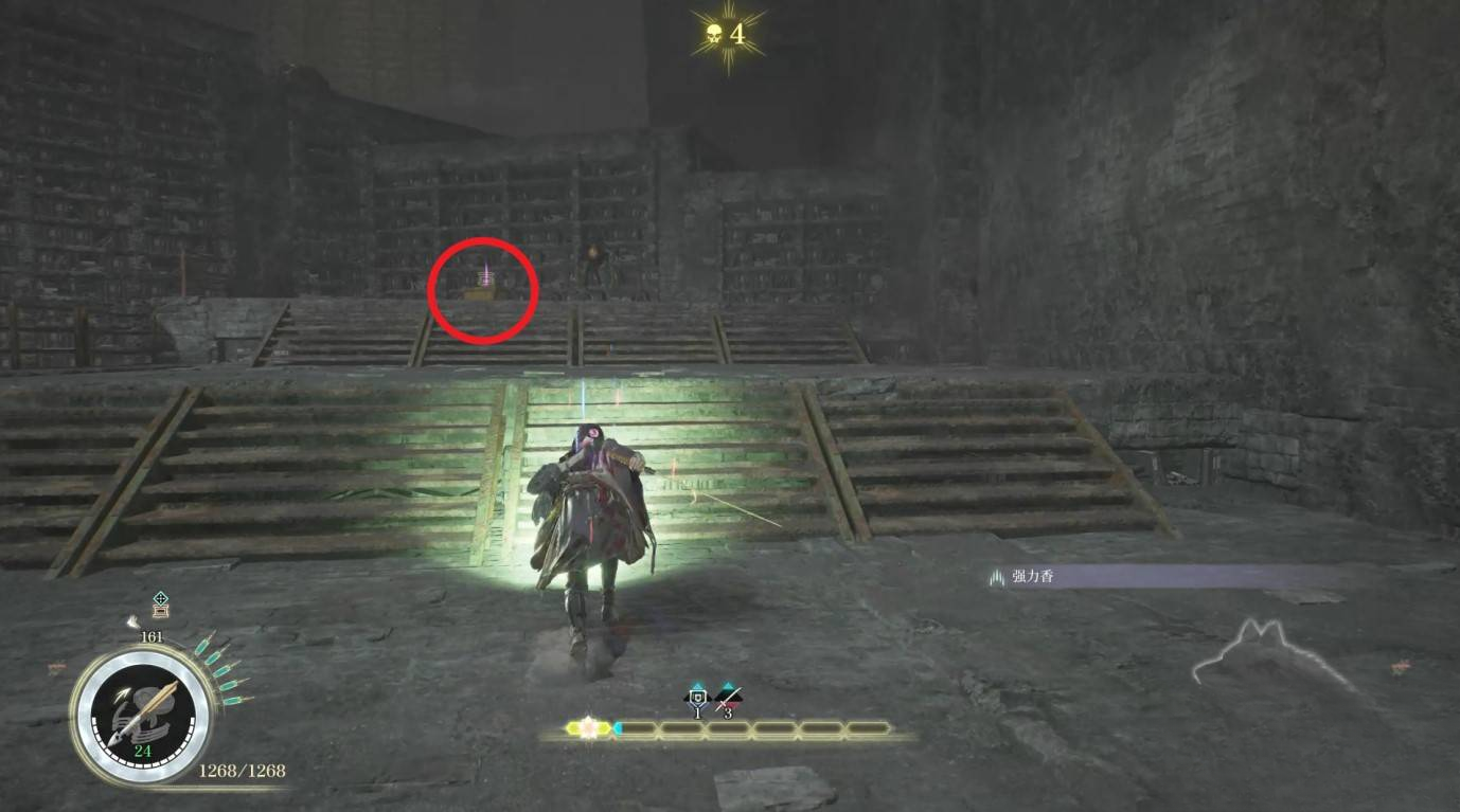 guide image