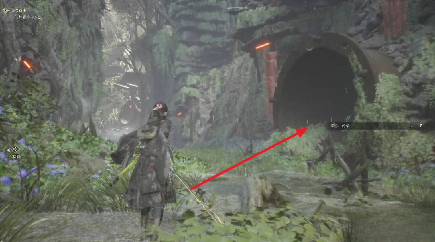 guide image