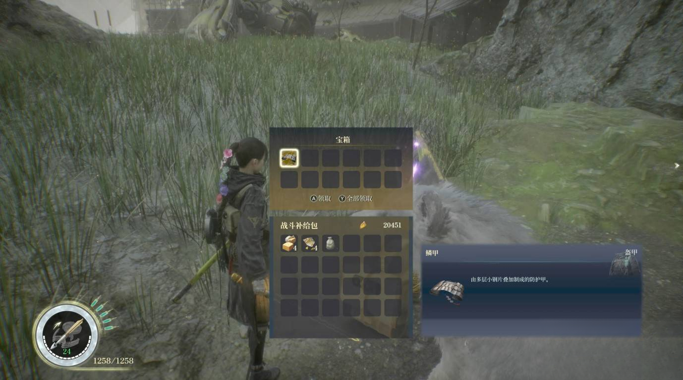 guide image