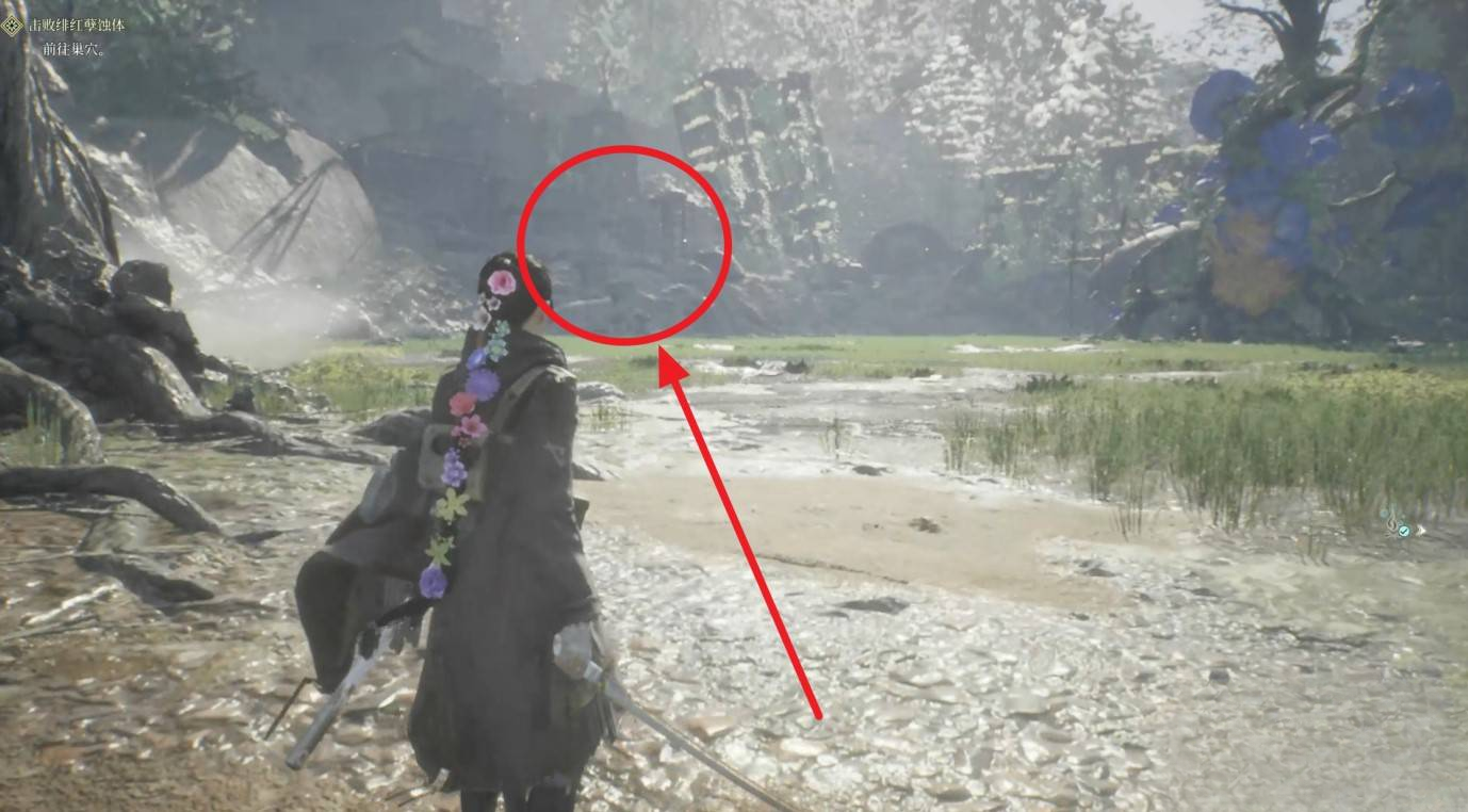 guide image