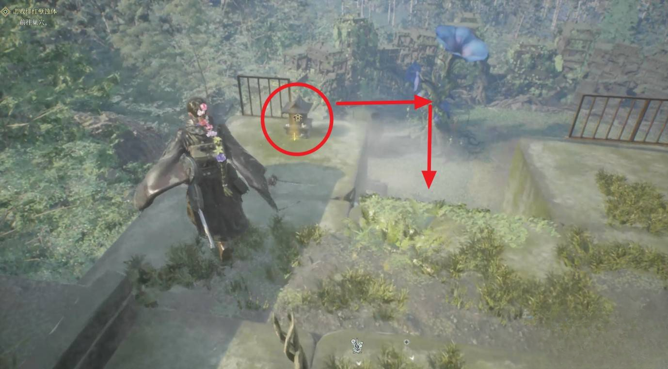 guide image