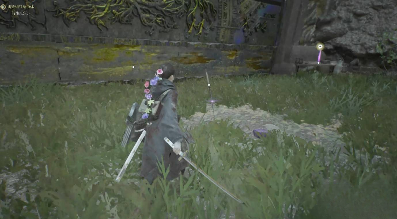 guide image
