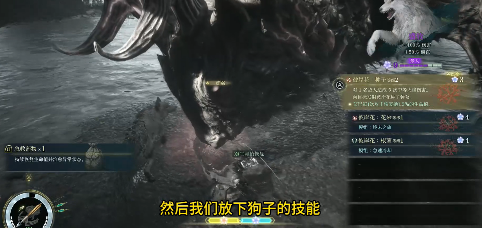 guide image
