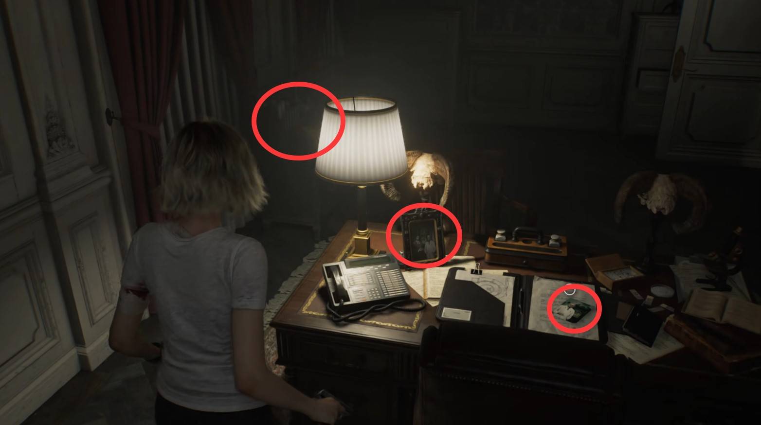 guide image