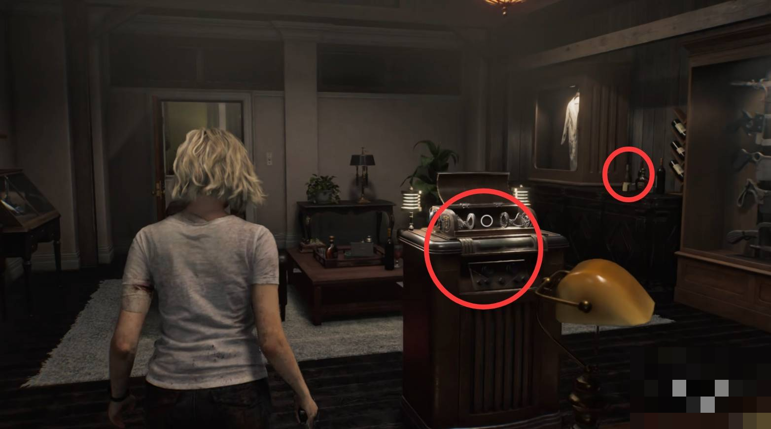 guide image