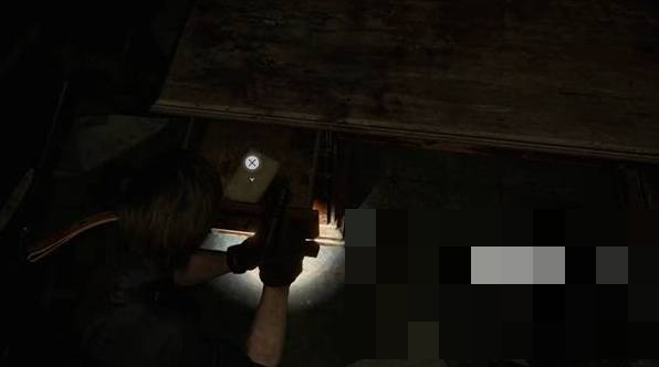guide image