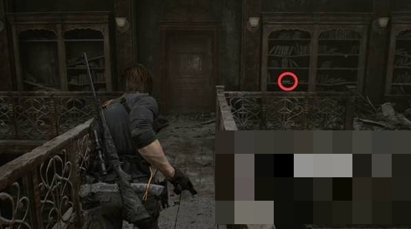 guide image