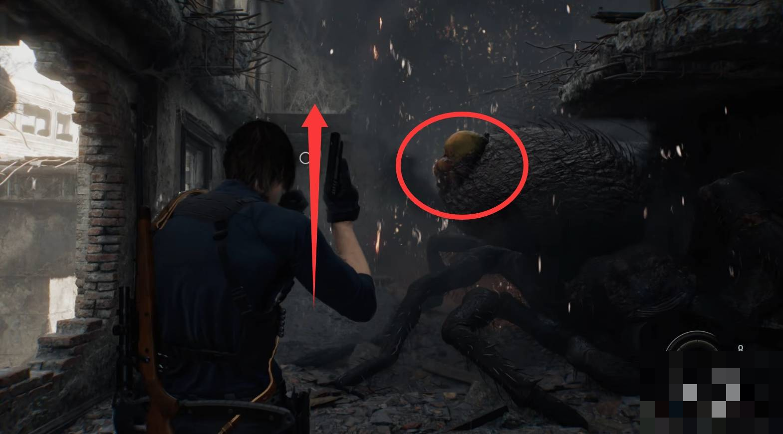 guide image
