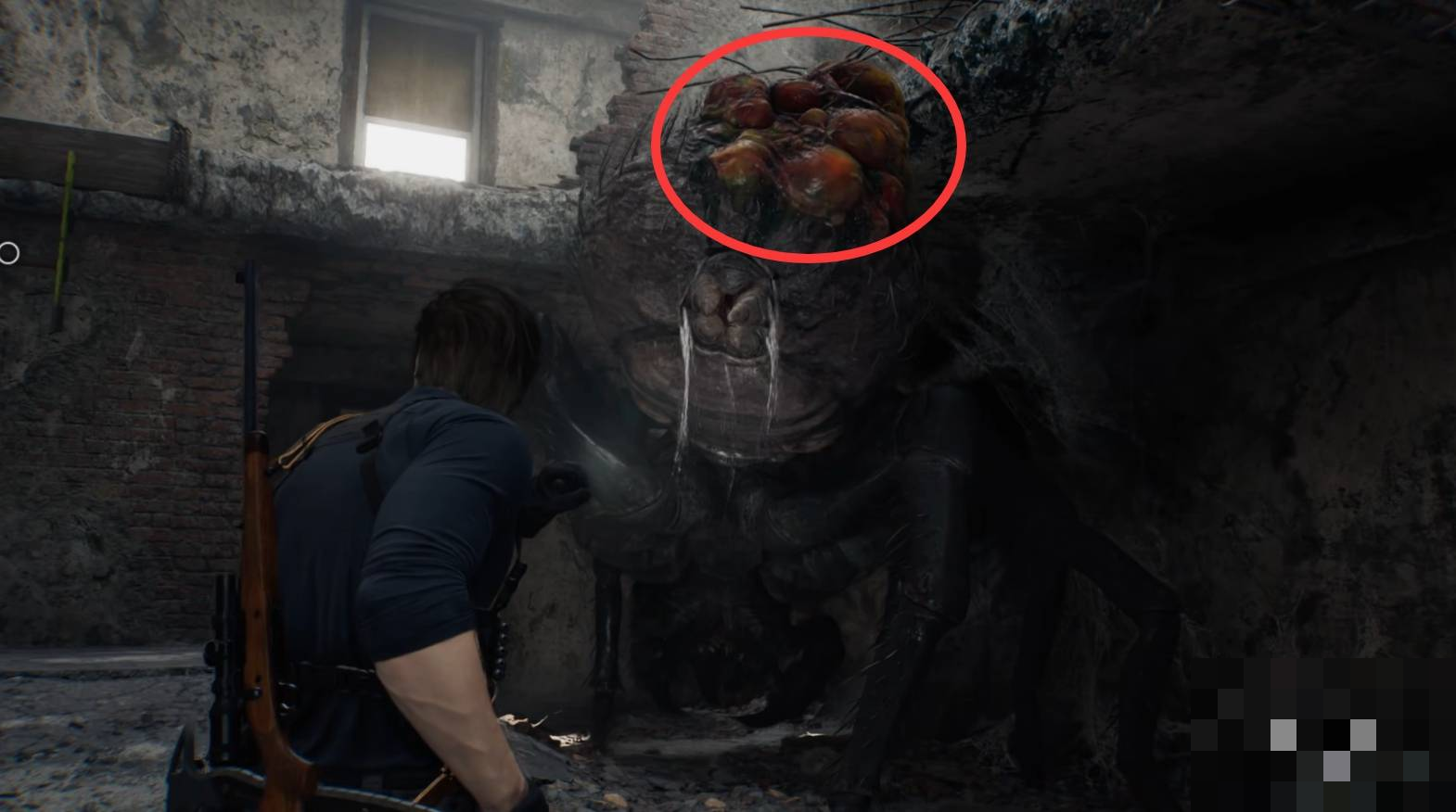 guide image