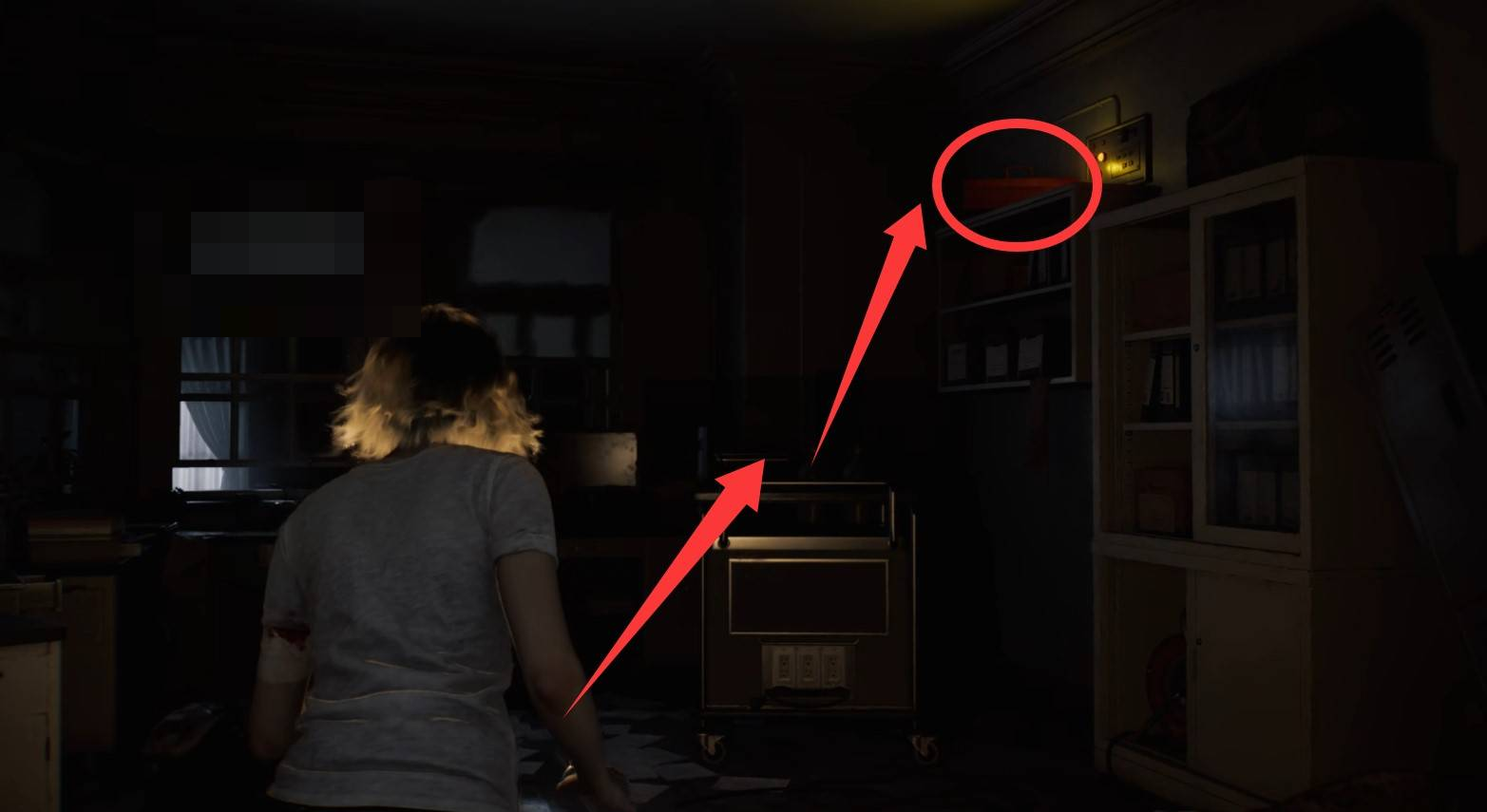 guide image