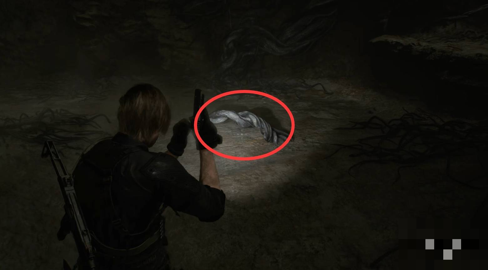 guide image