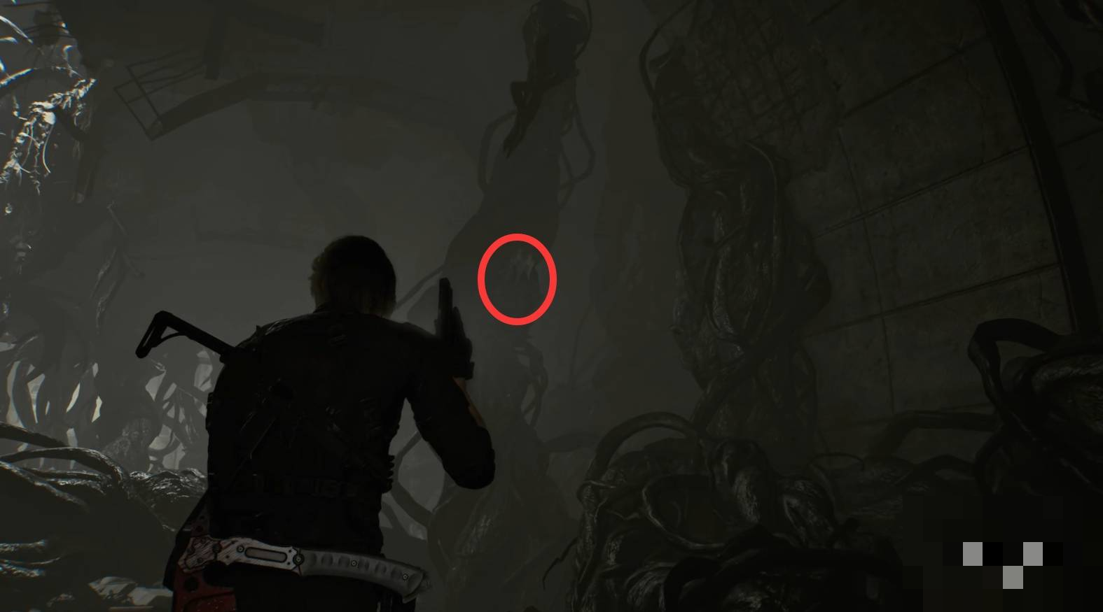 guide image