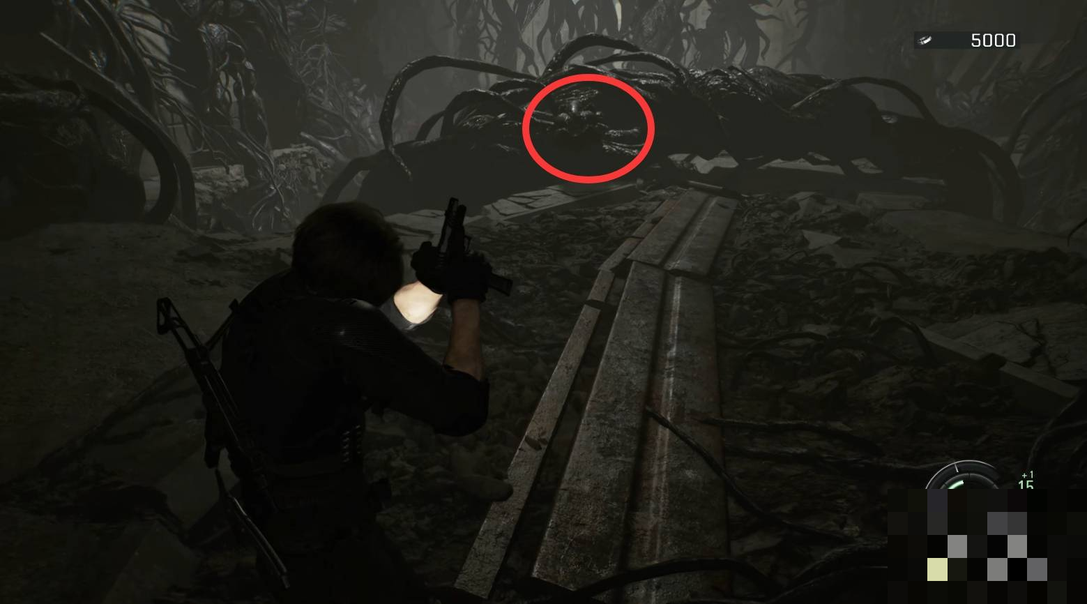 guide image