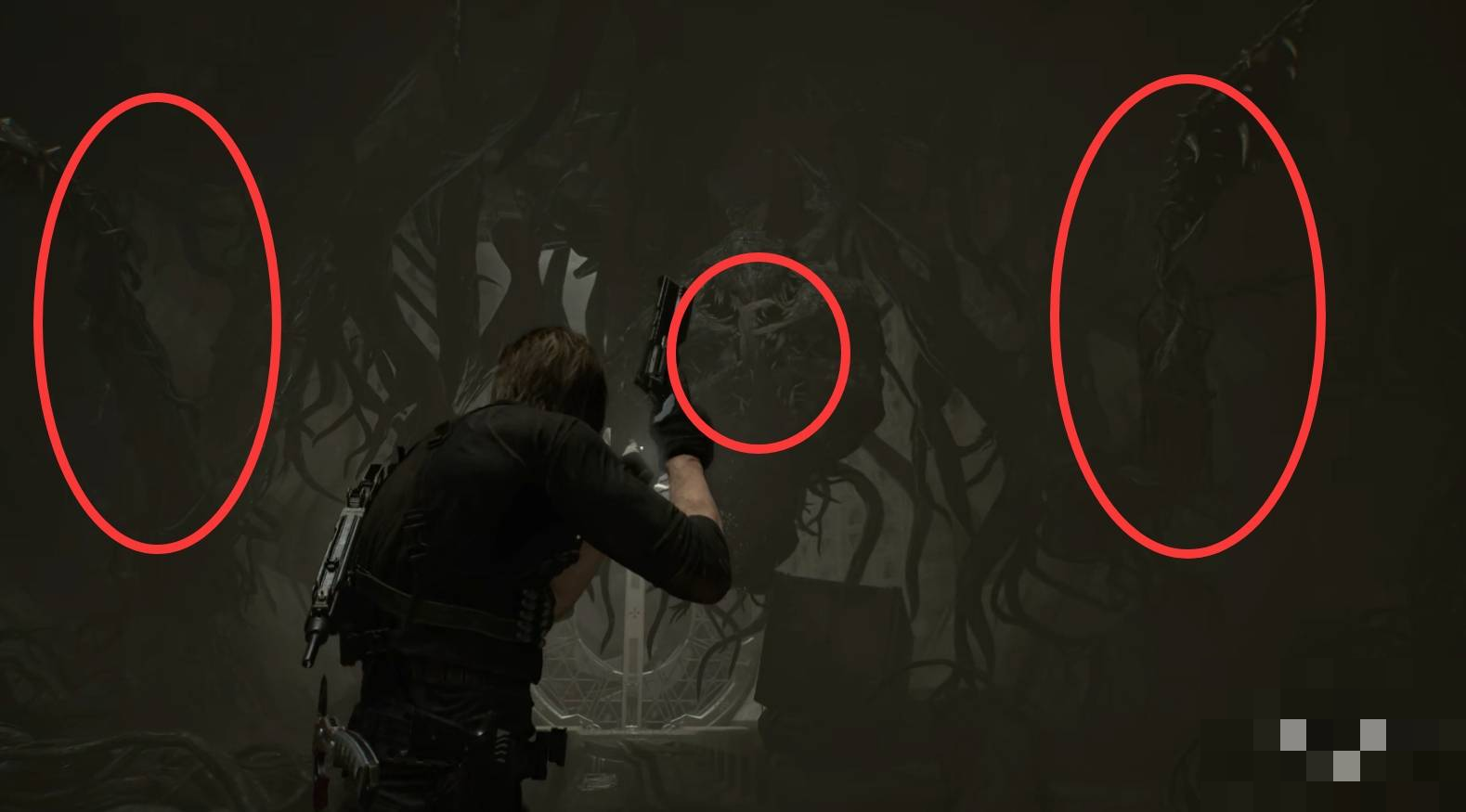 guide image