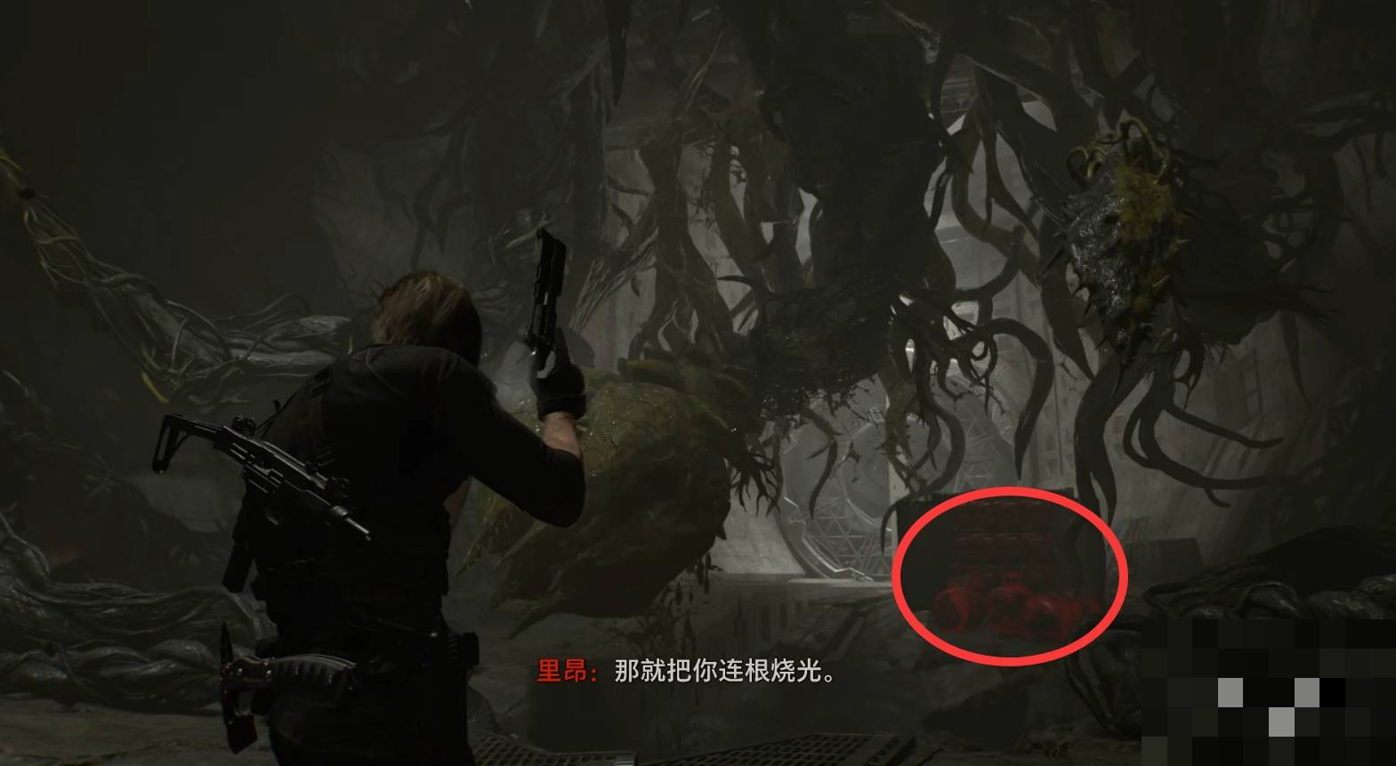 guide image