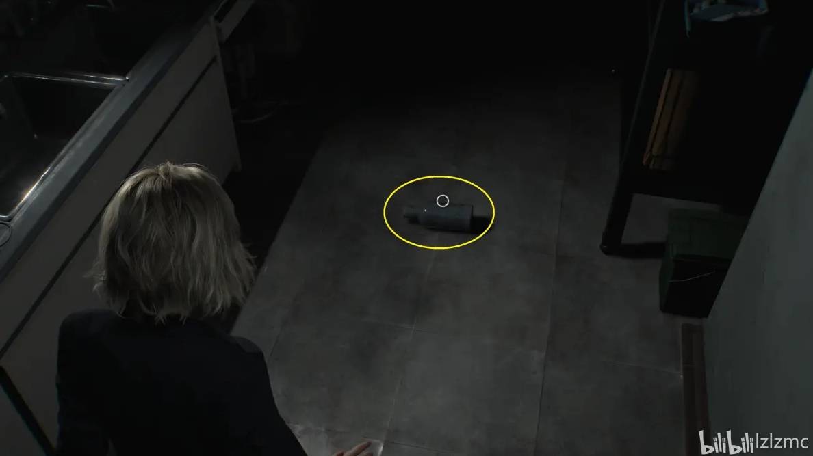 guide image