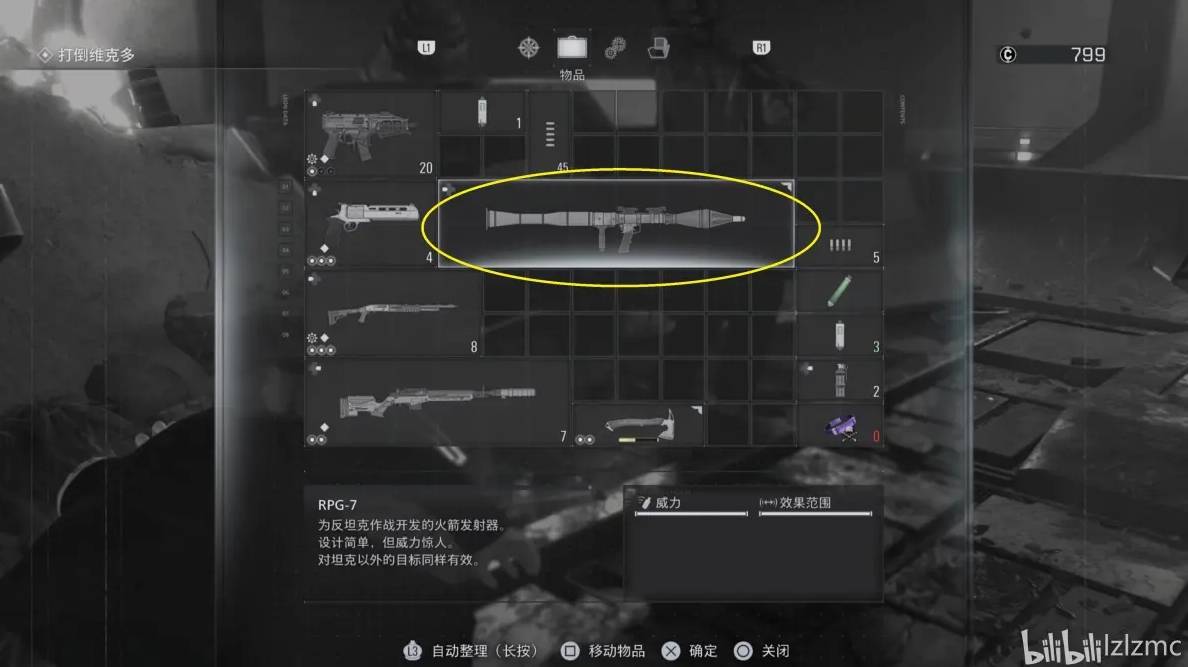 guide image