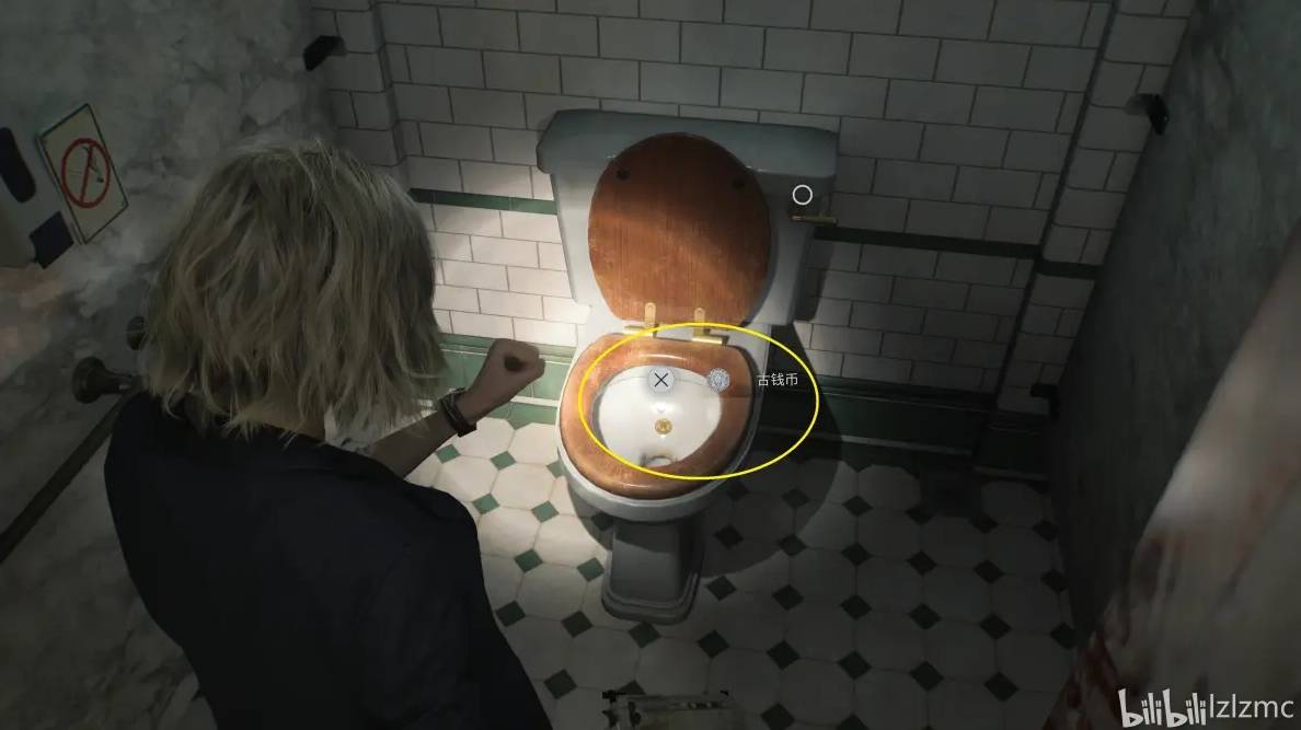 guide image
