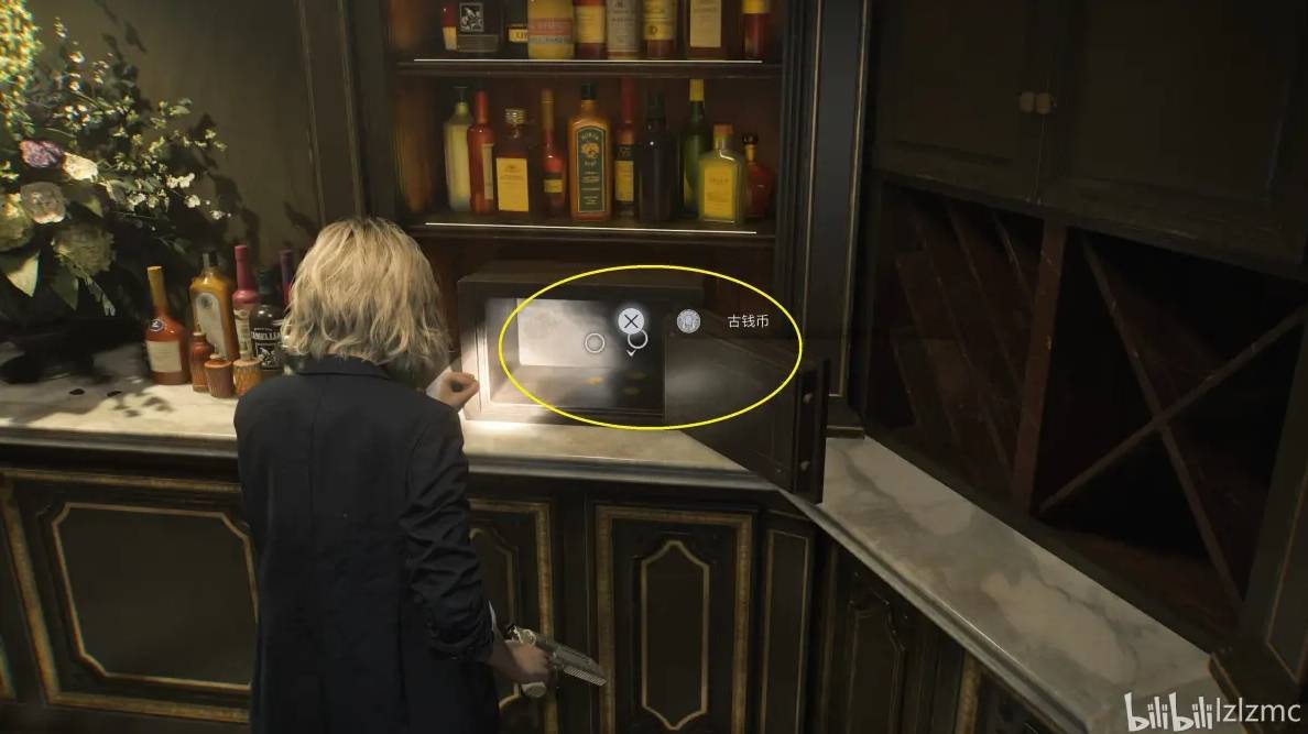 guide image