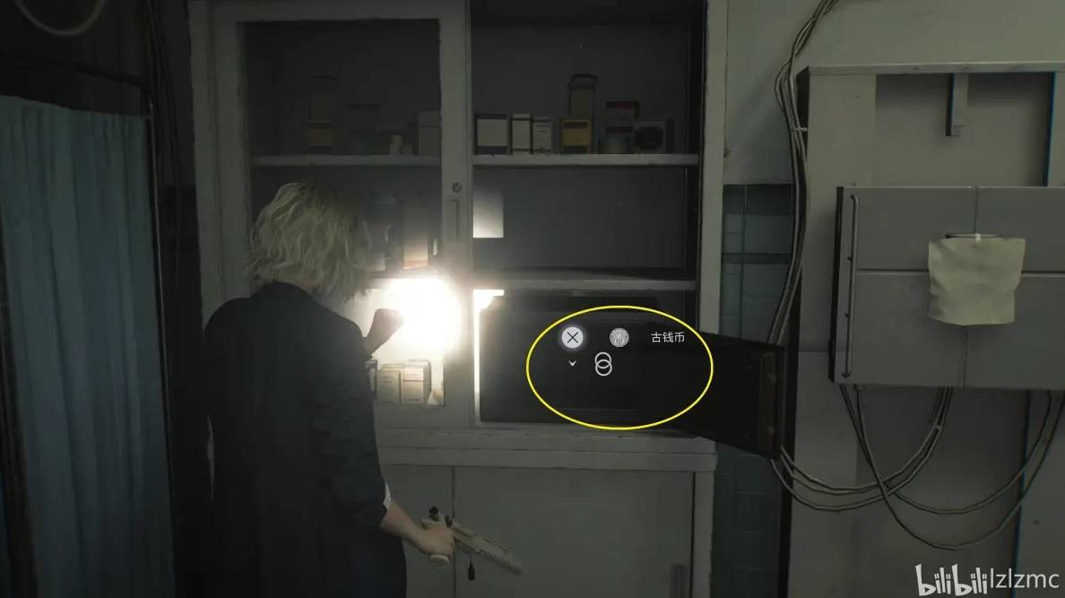 guide image