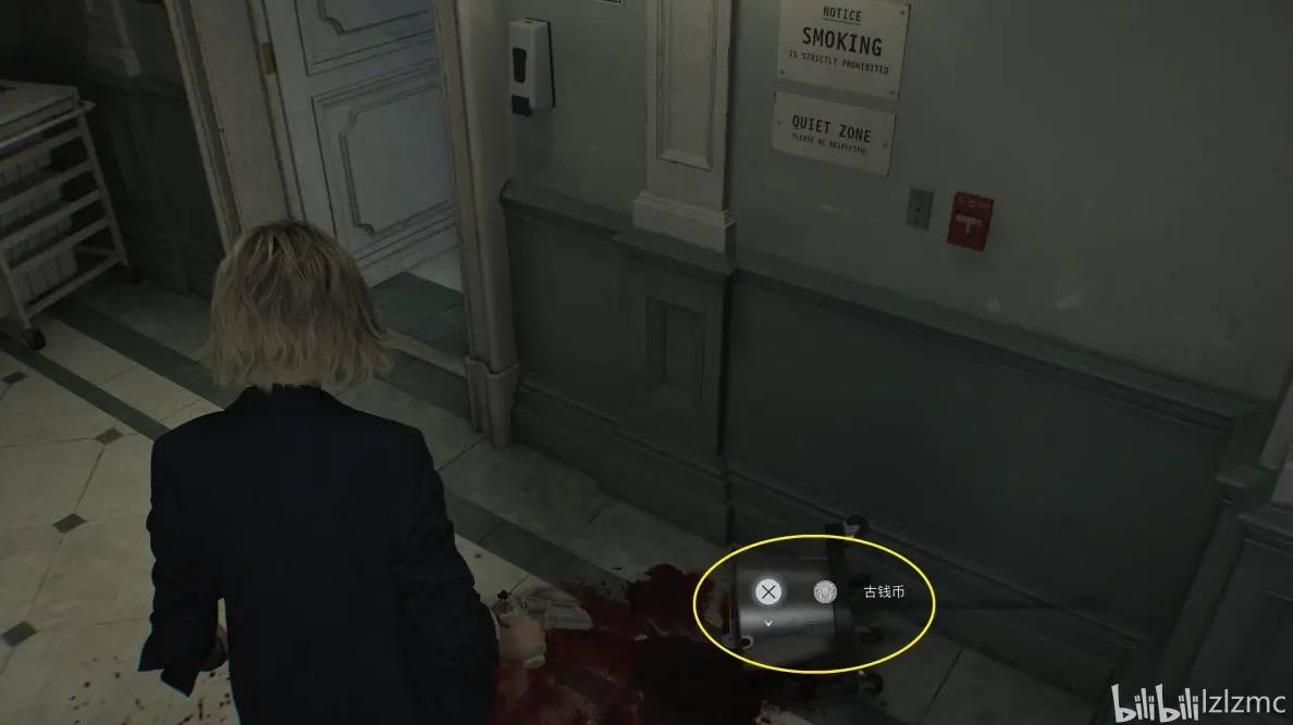 guide image