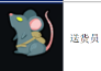 guide image