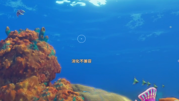 guide image
