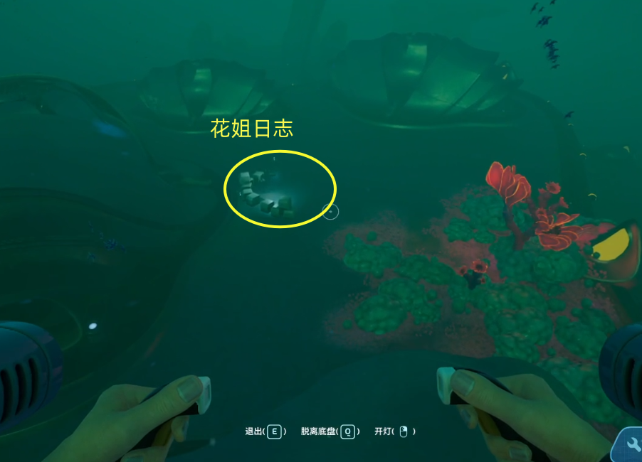 guide image