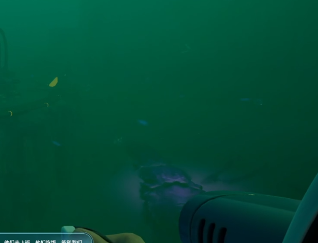 guide image