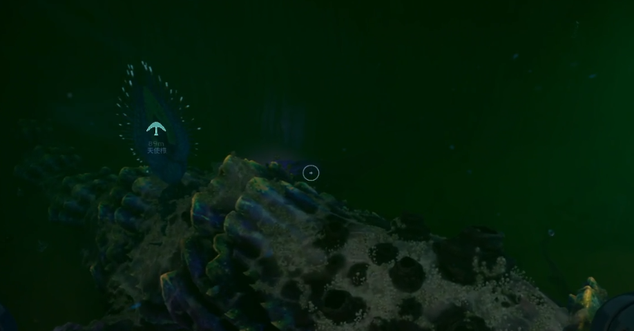 guide image