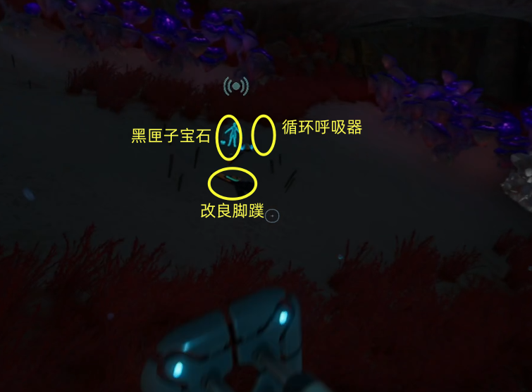 guide image
