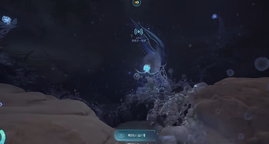 guide image